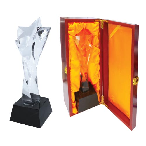 Crystal Star Trophy CR-13
